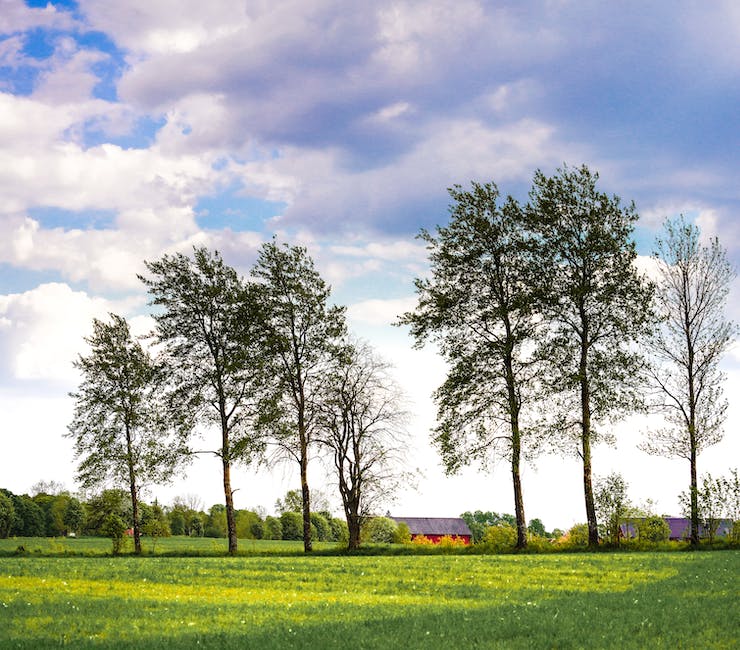 Rural Virginia farm towns